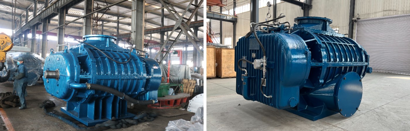 Воздуходувка Рутса большого размера ZR