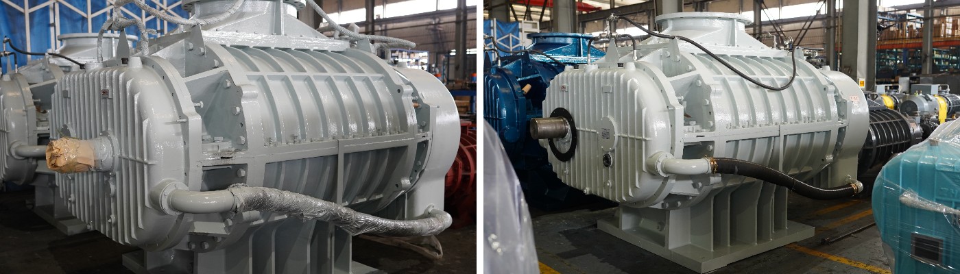 Воздуходувка Рутса большого размера ZR