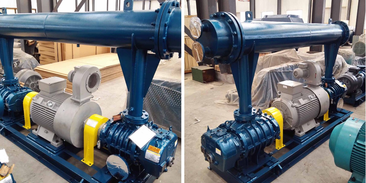 Вакуумный насос воздуходувки Рутса