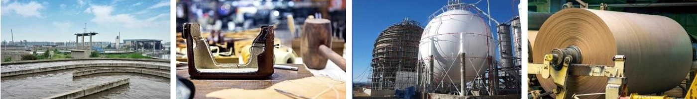 SSR Рутс Блоуер