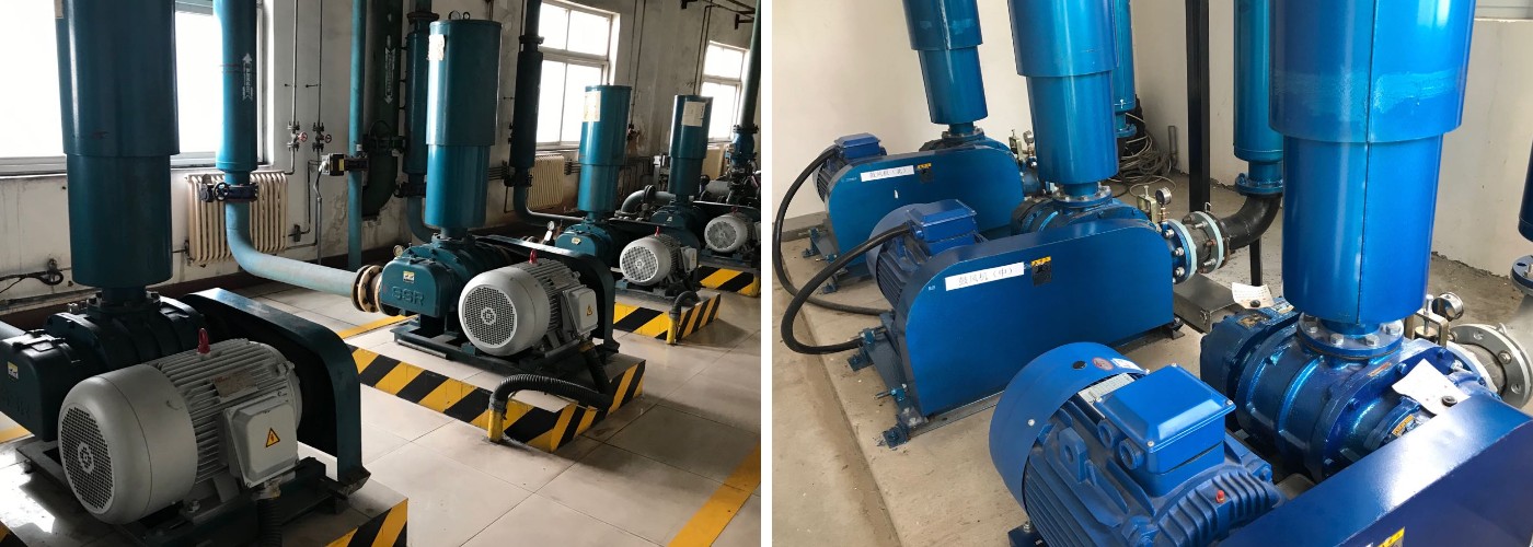 Воздуходувка корней ССР