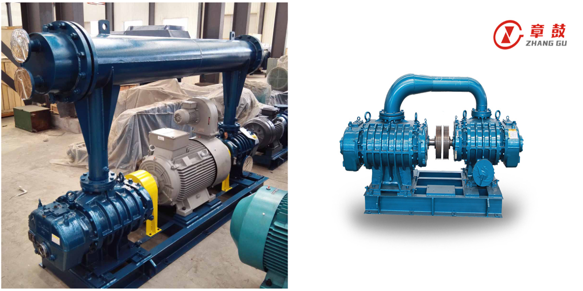 Воздуходувный насос Рутса серии RR