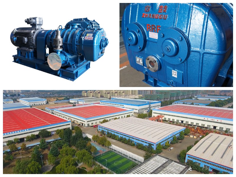 Воздуходувка Рутса 3H