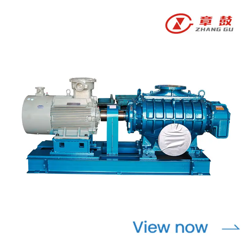 RR Roots Blower